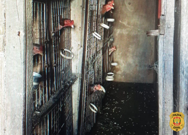 Dema deflagra Operação Combate
