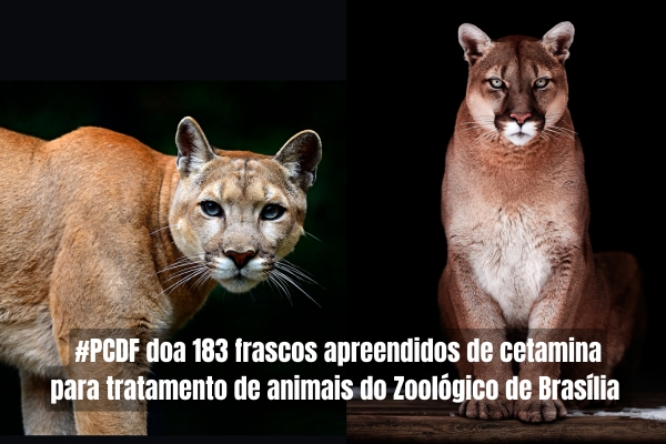 PCDF realiza doação de 183 frascos de cetamina ao hospital do Zoológico de Brasília